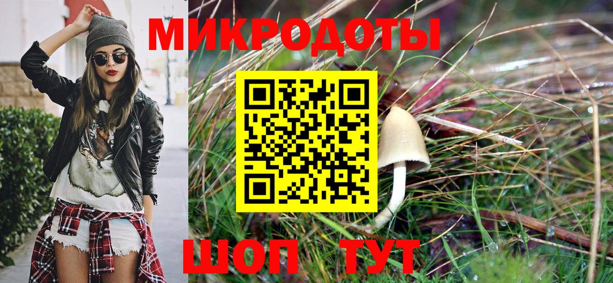 Галлюциногенные грибы Cubensis  Вход с VPN  Киреевск 